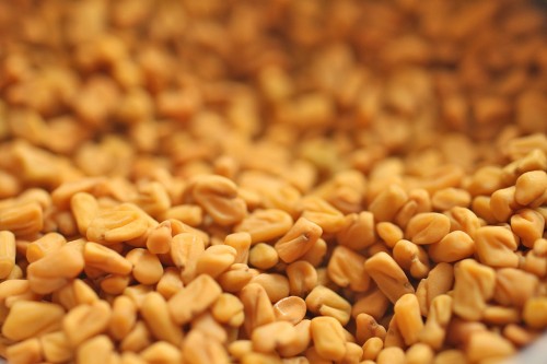 Fenugreek