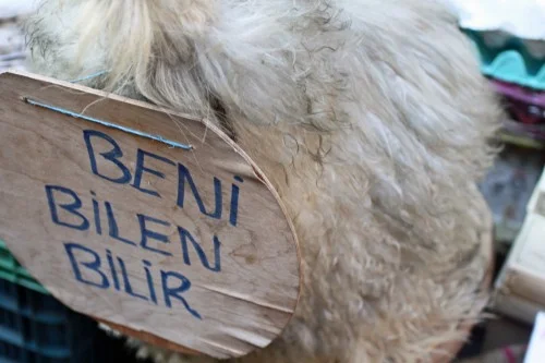 Kadikoy Market + Ciya Sofrasi
