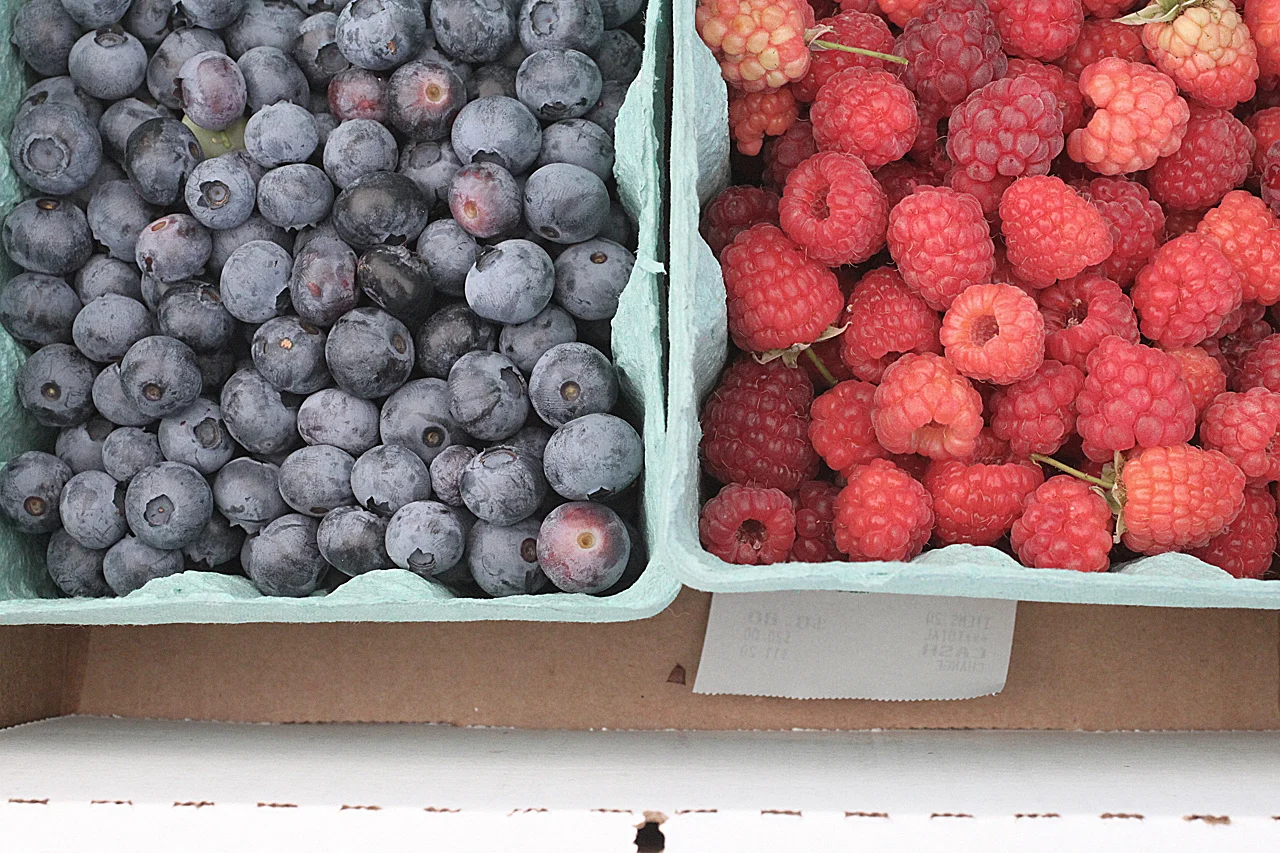 Berry Picking + Blueberry, Raw Honey & Coconut Fool