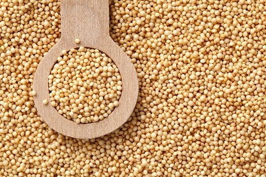 Photo: Nutraingredients