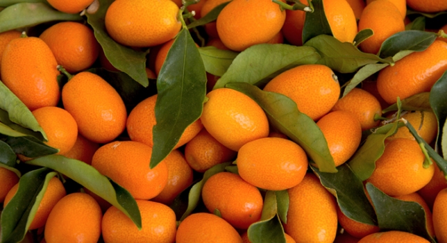 Photo: BBC Good Food