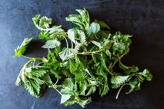 Photo: Food52