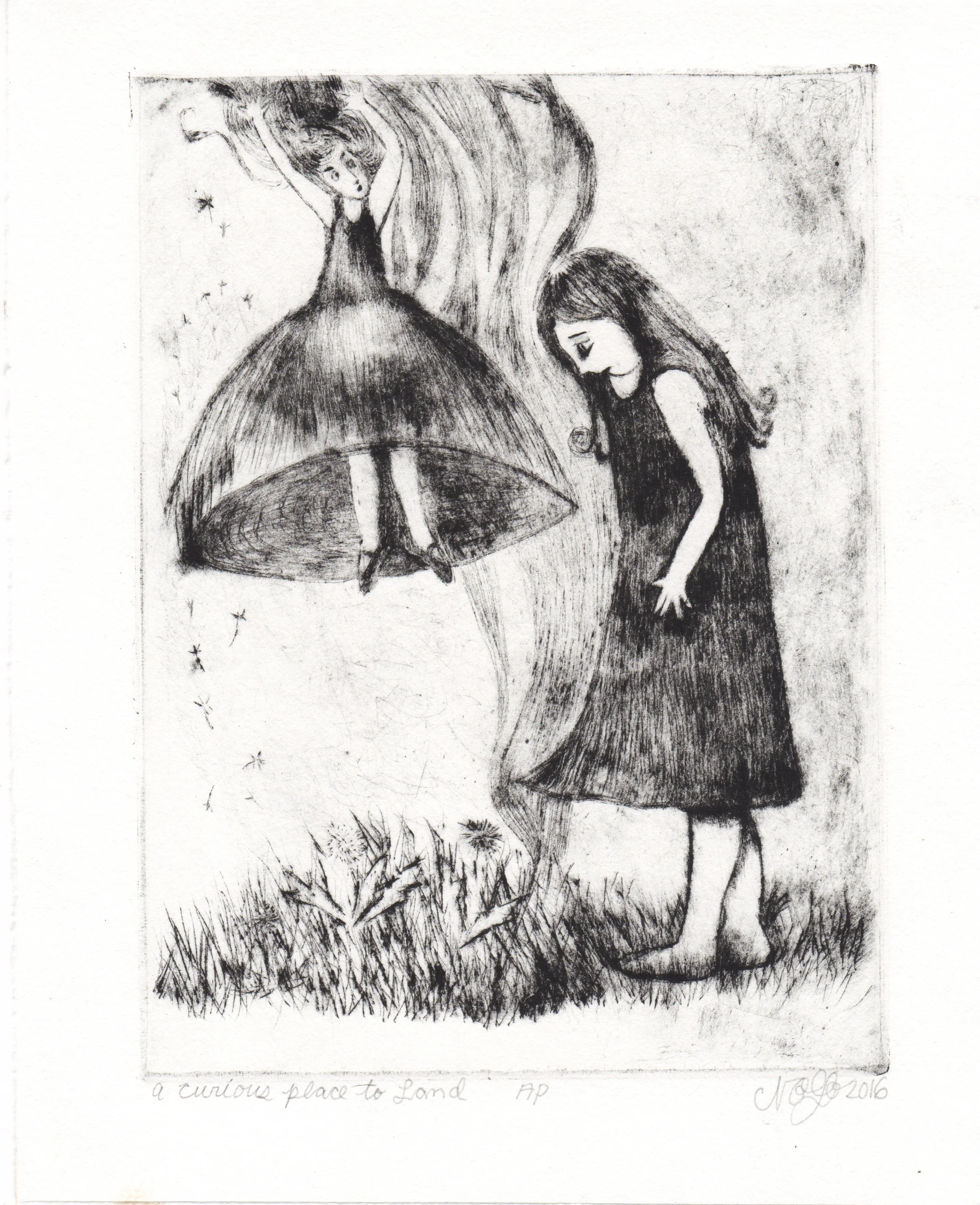 a curious place to land.jpeg