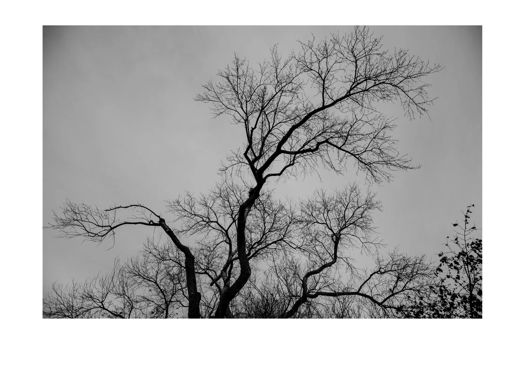 66956162_1288002888042097_8307384619334893568_o.jpg