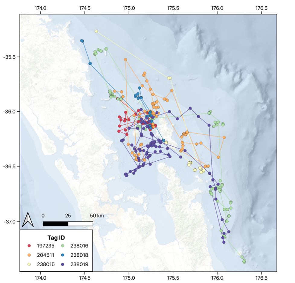   Satellite Track Data from 2021 & 2023 (Credit: Created and Analysed by Tamsin Cooper)  