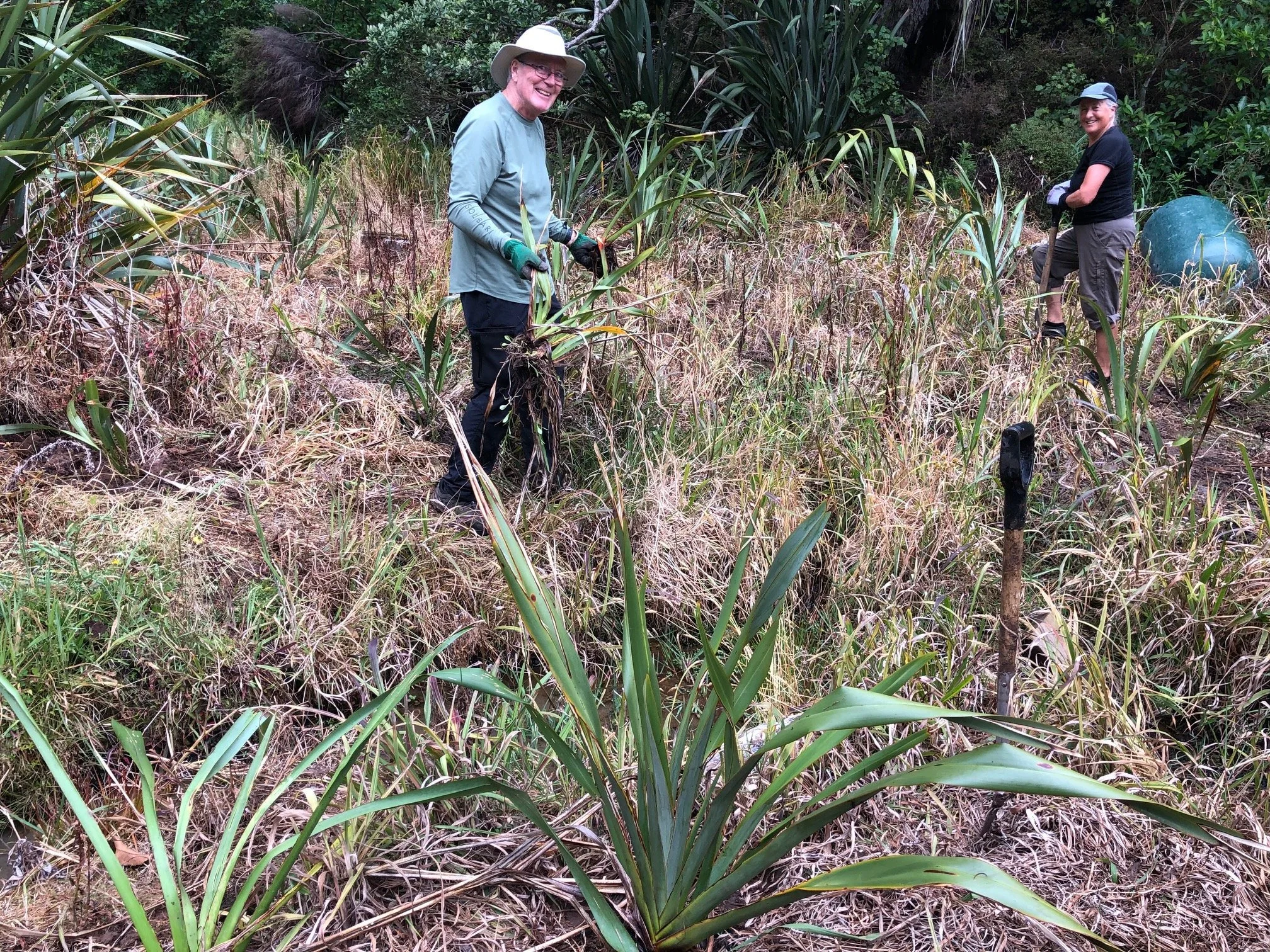   Kim Bannister and Prue Smith planting harakeke (Credit: Barry Scott)  