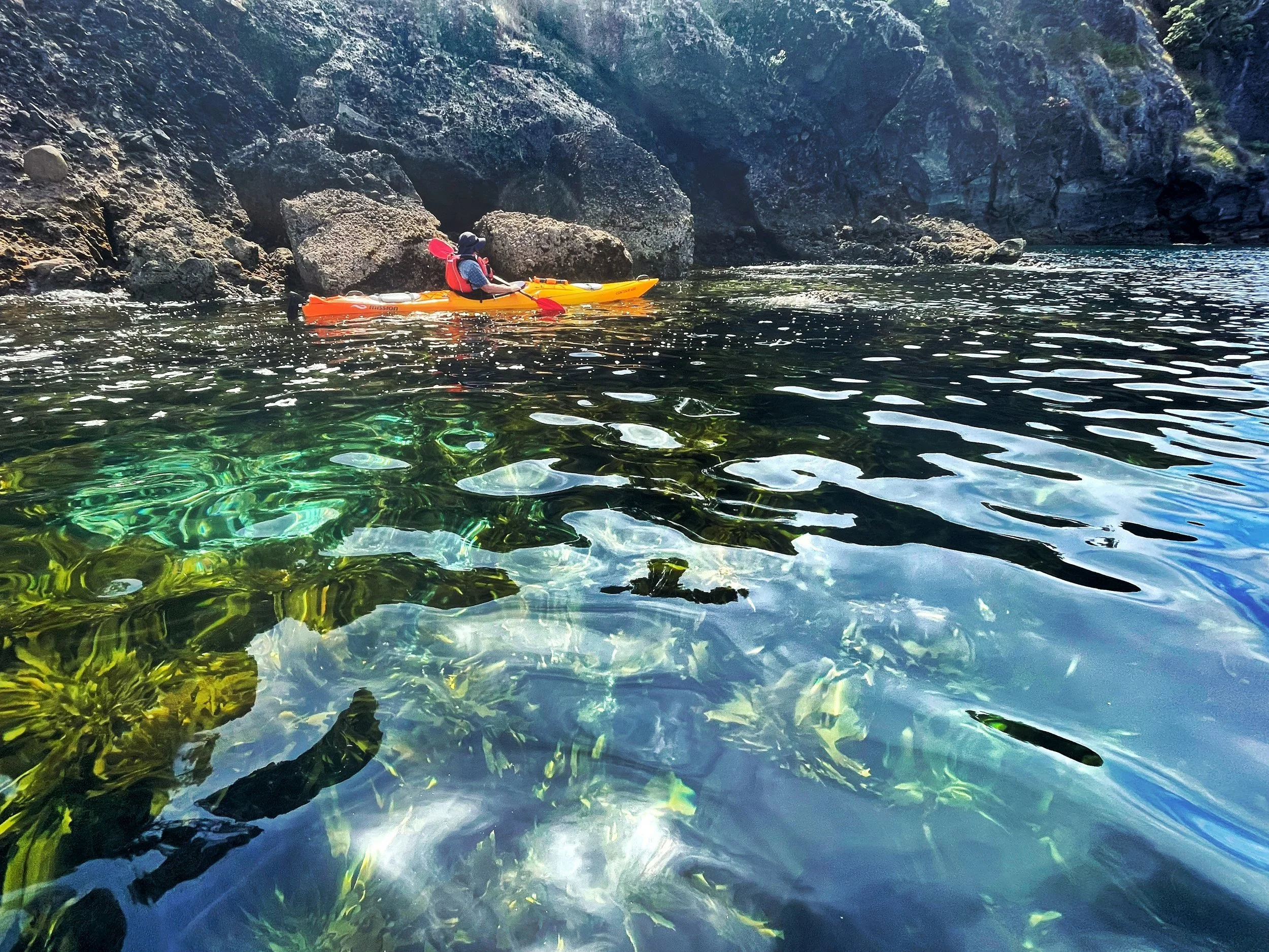   Coastal waters on SW corner of Motu Kaikoura with Barry in kayak (Credit: Mead Norton)  