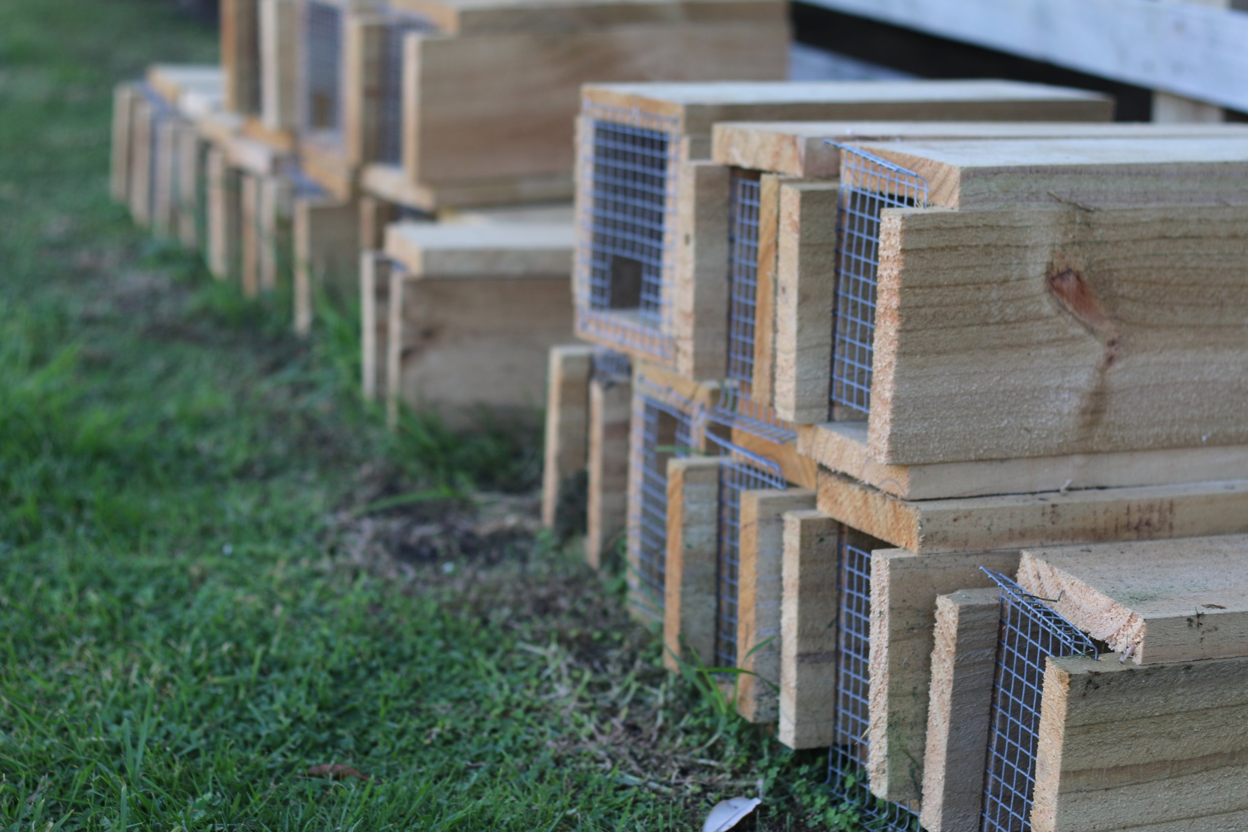 Trap Library at MGSchool 3.JPG