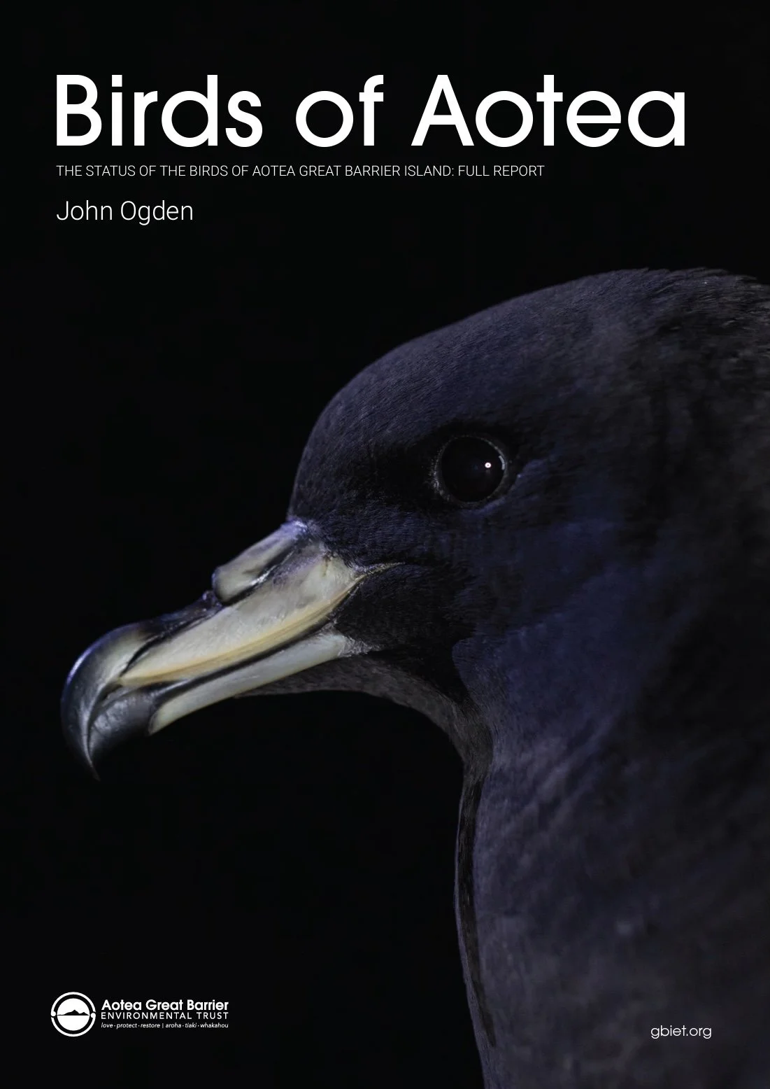 Birds of Aotea - Full Report