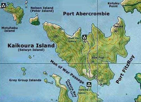 en16-motu-kaikoura-rat-eradication-programme-01.jpeg