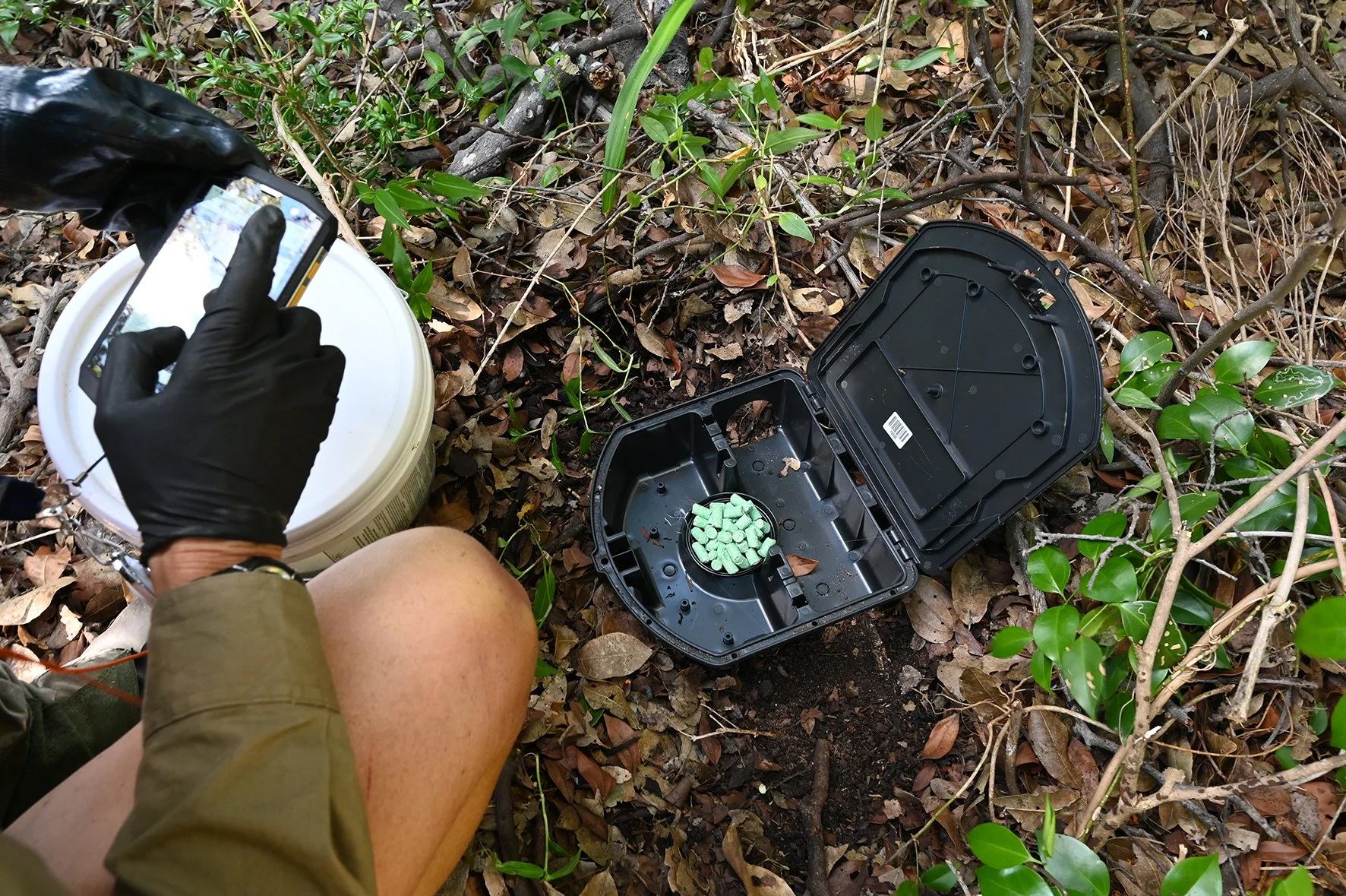 Bait station