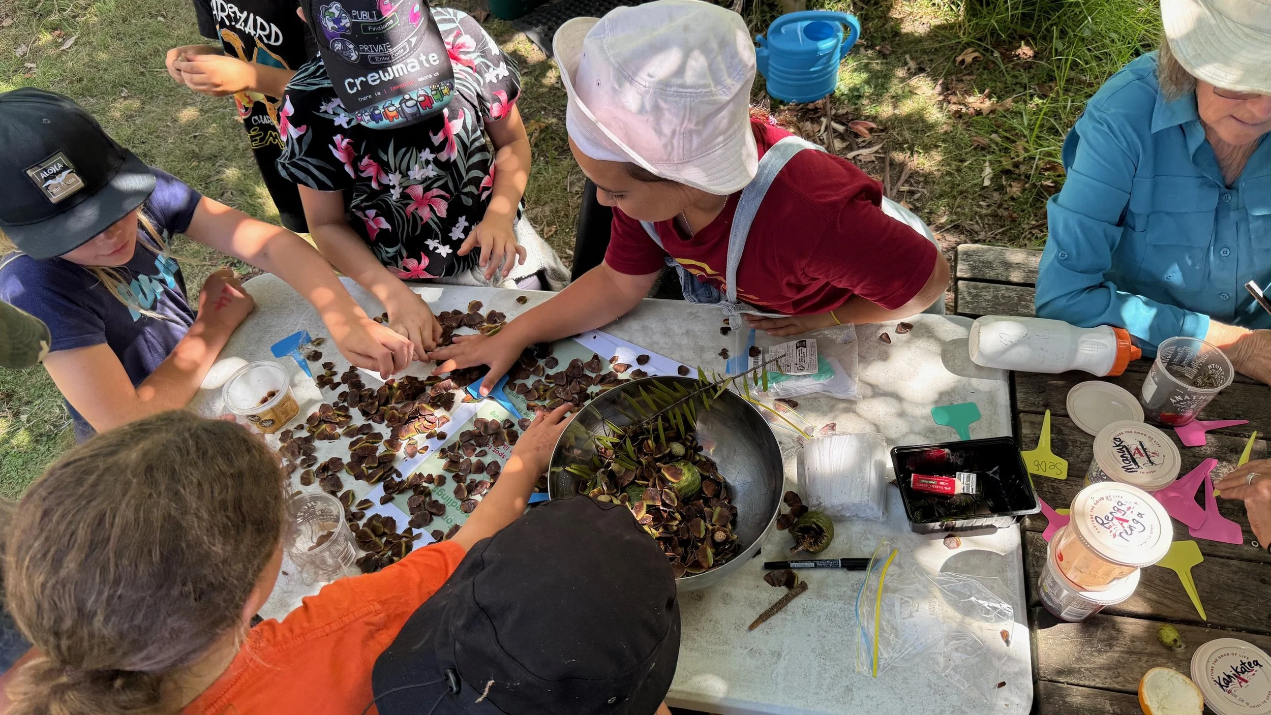 Kaitoke school children helping prepare seeds for planting