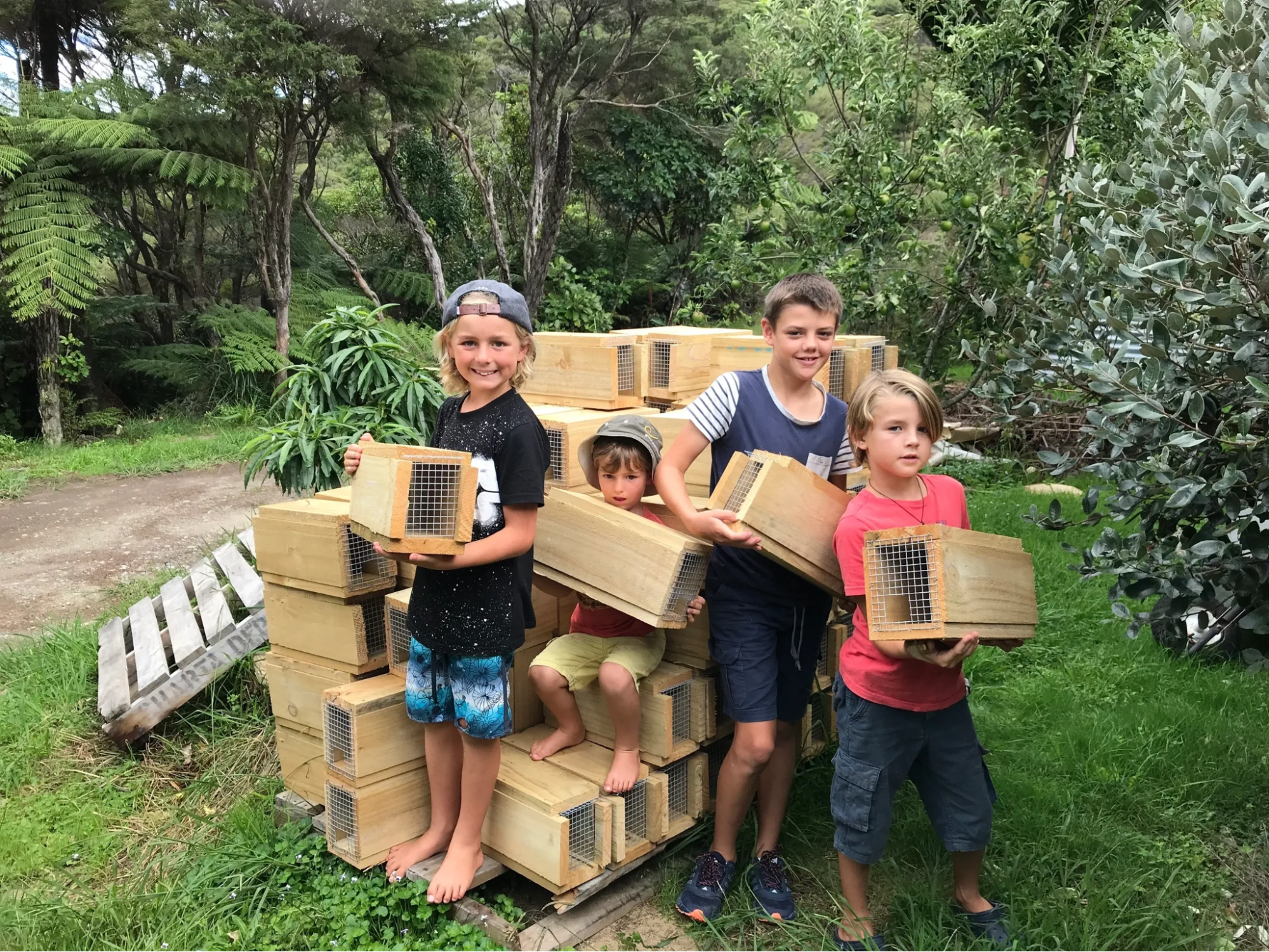 Zephyr and Ari Walker, and Noah and Ollie Raikes, helping with trap boxes