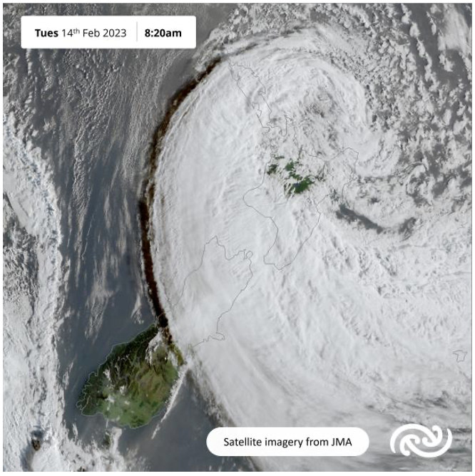 Effects of Cyclone Gabrielle on Aotea’s Beach Birds