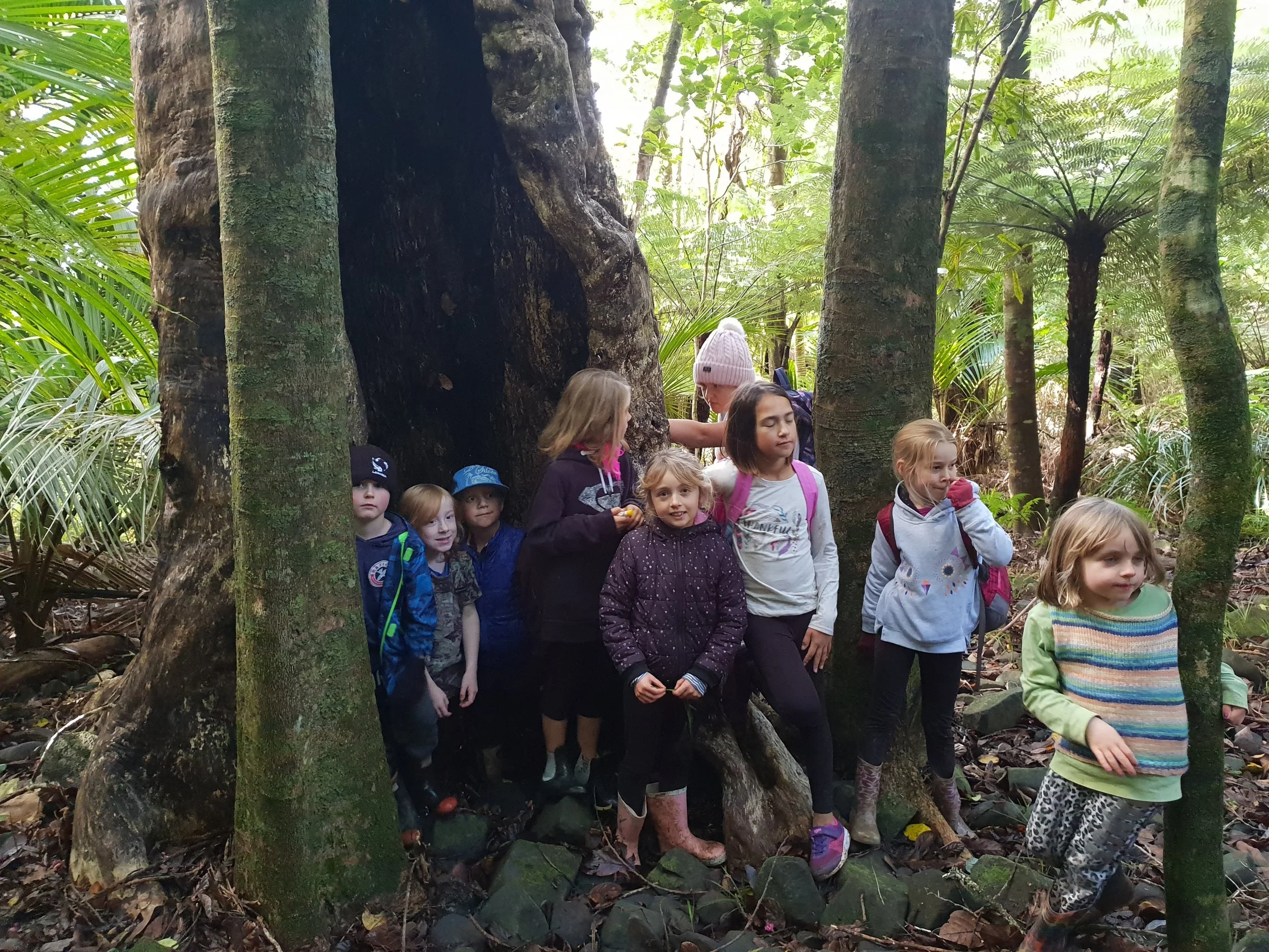   Kids visiting Windy Hill Sanctuary as part of their school holiday programme  