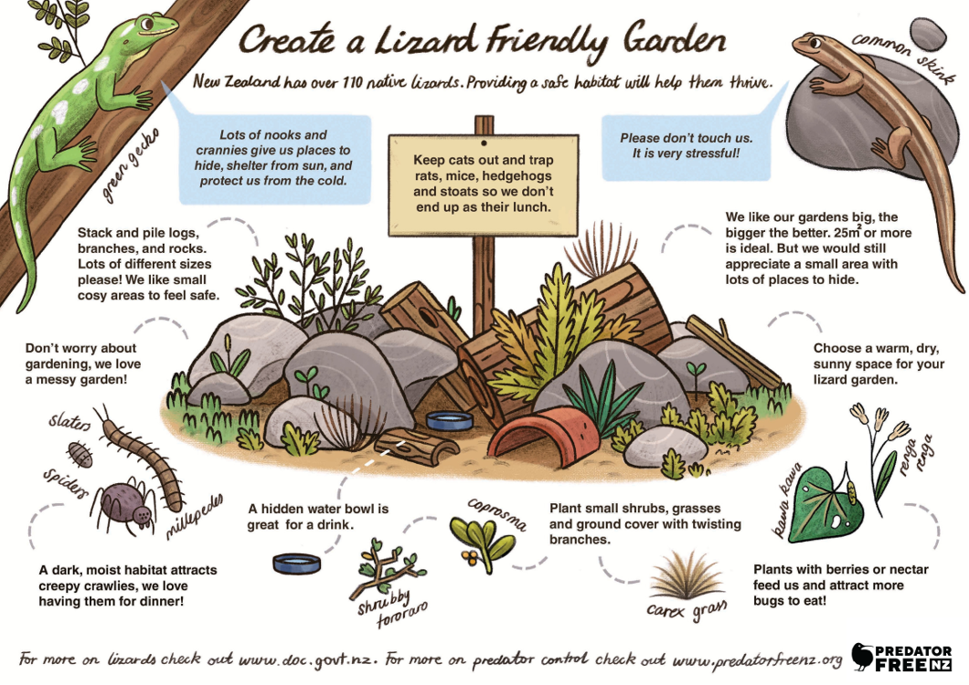 en52-lizards-05.png
