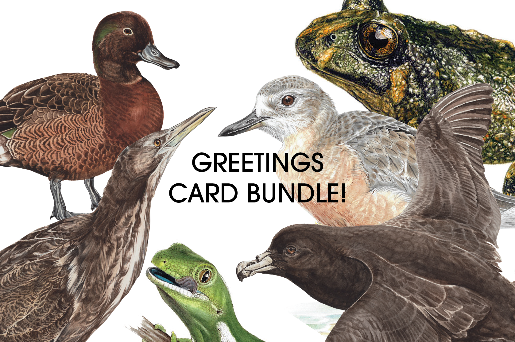 Card Bundle.png