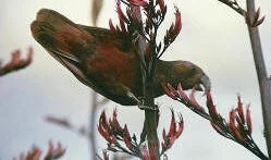 en16-the-second-kaka-count-01.jpg
