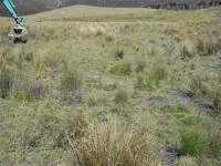 en20-wetlands-and-pateke-on-okiwi-station-04.jpeg