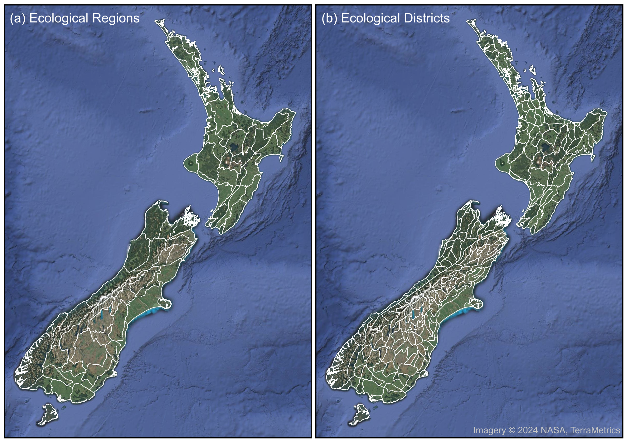   FIGURE 1: Ecological Regions and Districts of New Zealand(1).  While these divisions of the landscape according to topography, climate, biota and history are useful for conservation planning purposes, they have only limited use in the selection of sites for ecosourcing purposes. They do not reflect the broad-scale genetic variation of most species and are too restrictive  