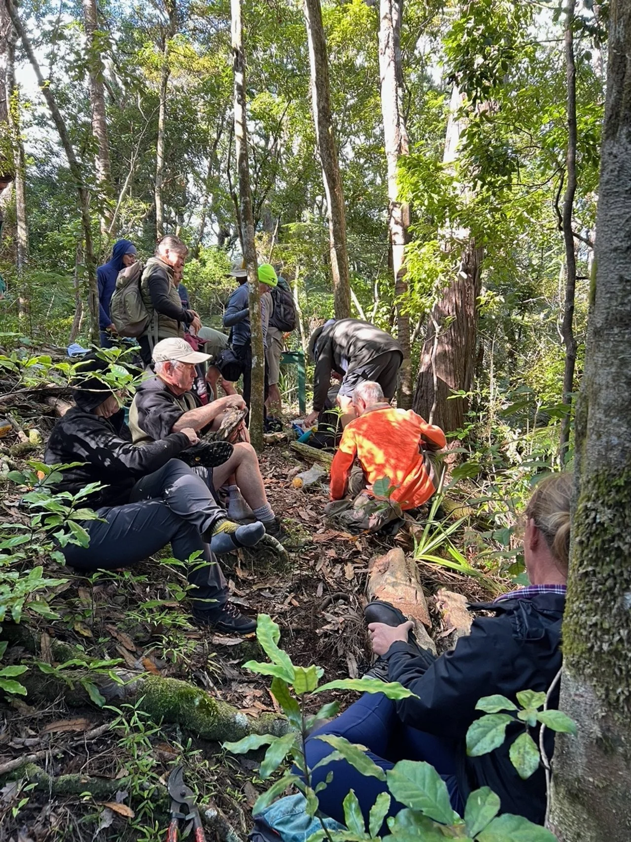   The team admiring giant nīkau palms and the team cleaning boots between watersheds  