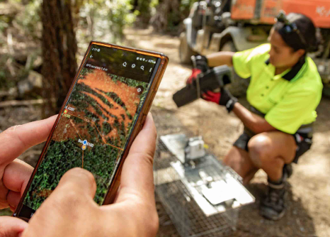   Preparing feral cat trap. From the Tū Mai Taonga 2023 Impact Report  