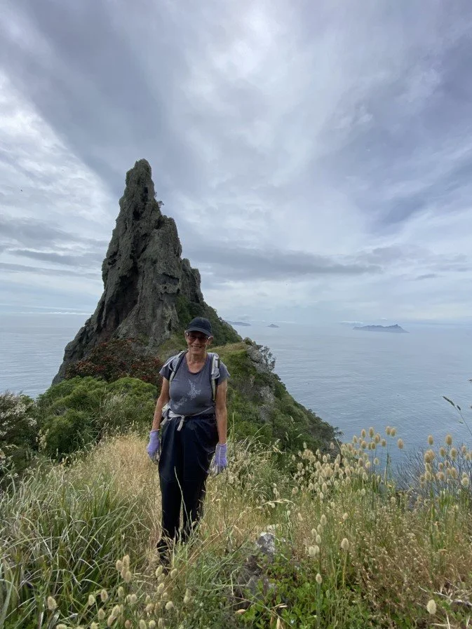   Cathy Mitchell returning from grey faced petrel colony on Bream Head (Credit: Shannon Courtney)  