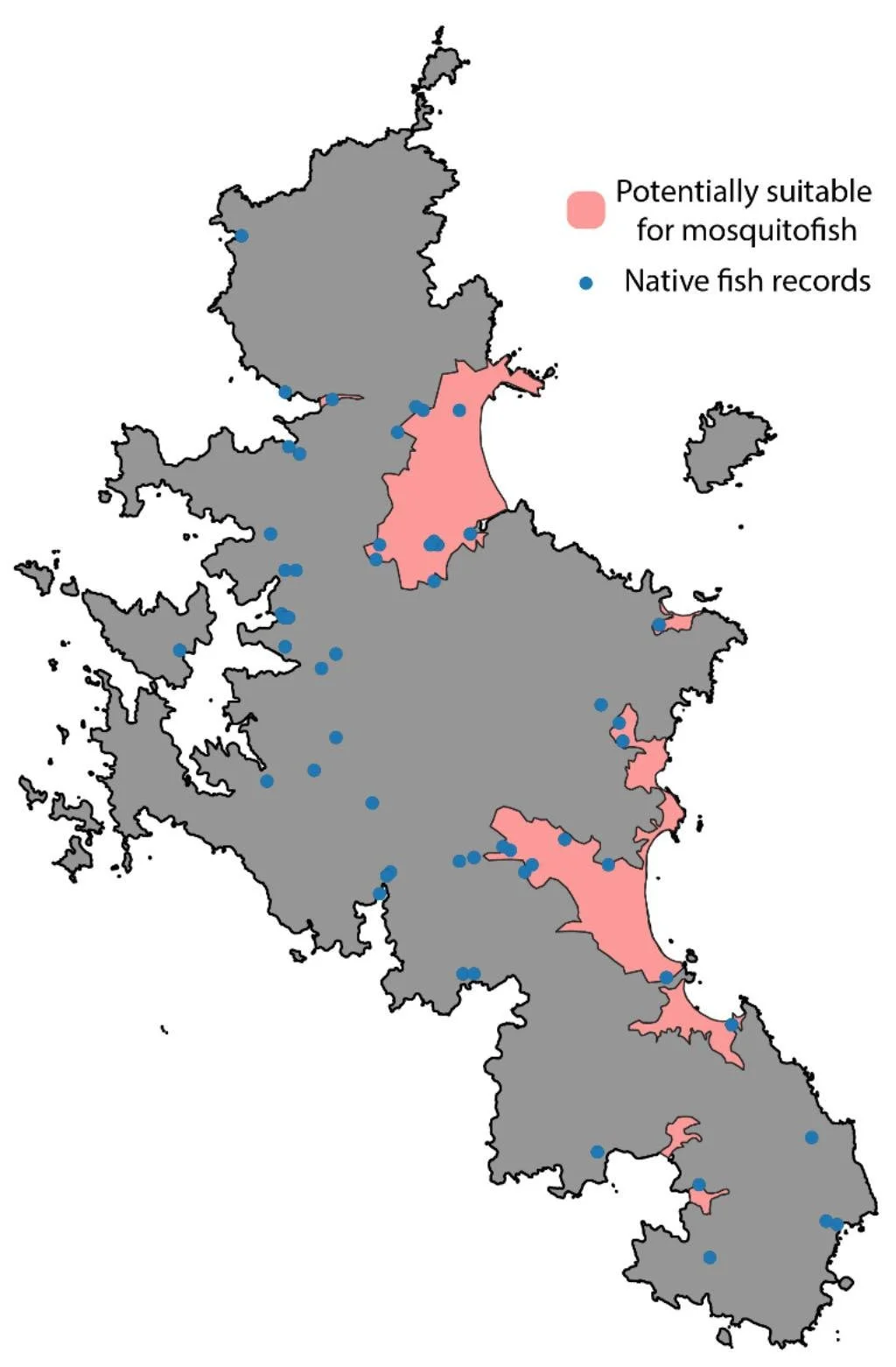   Figure 1: Aotea | Great Barrier, with potentially suitable habitat for mosquitoﬁsh shown in pink. Blue dots are recorded sightings of native ﬁsh from the NZ Freshwater Fish Database (NZFFD) (1).  