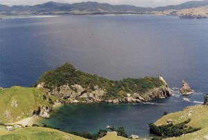  Looking down into Arid Cove with Whangapoua in the distance. Photo: Mike Waterhouse 