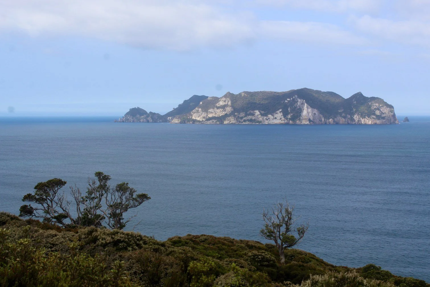   Rakitū, at 330 hectares, is capable of supporting thousands of seabirds, which in turn would return large amounts of phosphates and nitrates to the land. The continued presence of weka on the island is highly likely to prevent any meaningful restoration of Rakitū, despite it’s location on the northeastern New Zealand seabird super highway (Credit: Emma Waterhouse)  