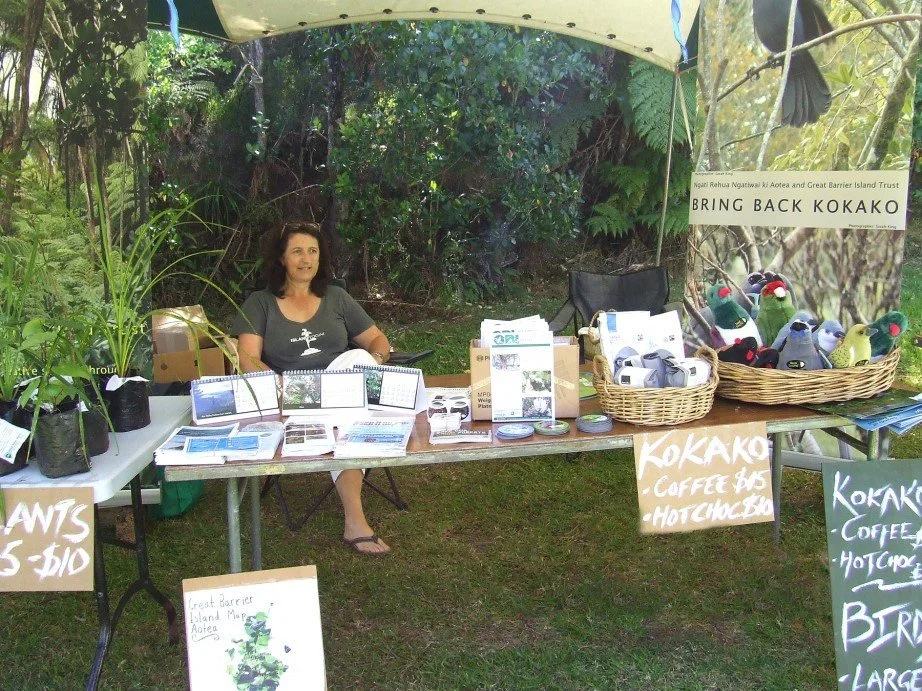  Emma Waterhouse looking after stall at Fitzroy Fun Day, 2017  