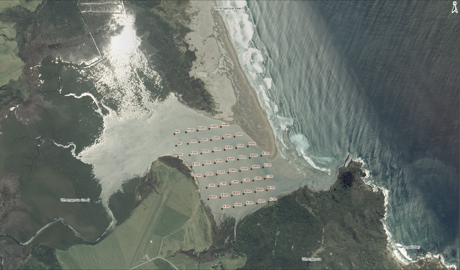   The grid of shellfish monitoring sites on Whangapoua estuary (harbour) and the nearby Okiwi spit  