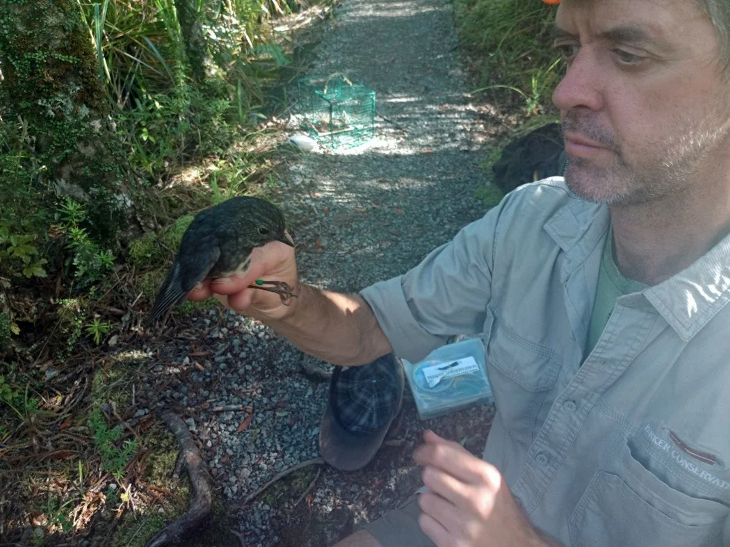 en51-toutouwai-01.jpg