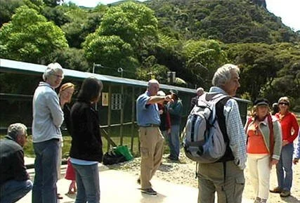 en16-diary-of-a-glenfern-fence-01.jpeg