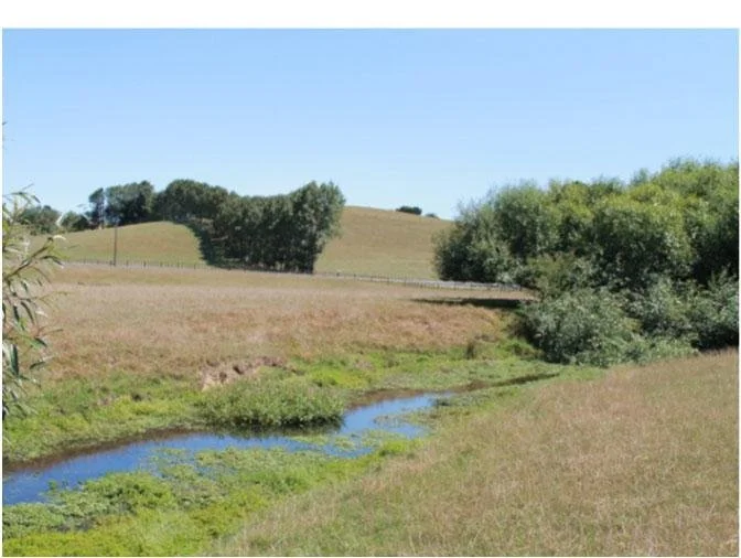   Typical stream in an agricultural catchment. (Credit: F. Lee)  