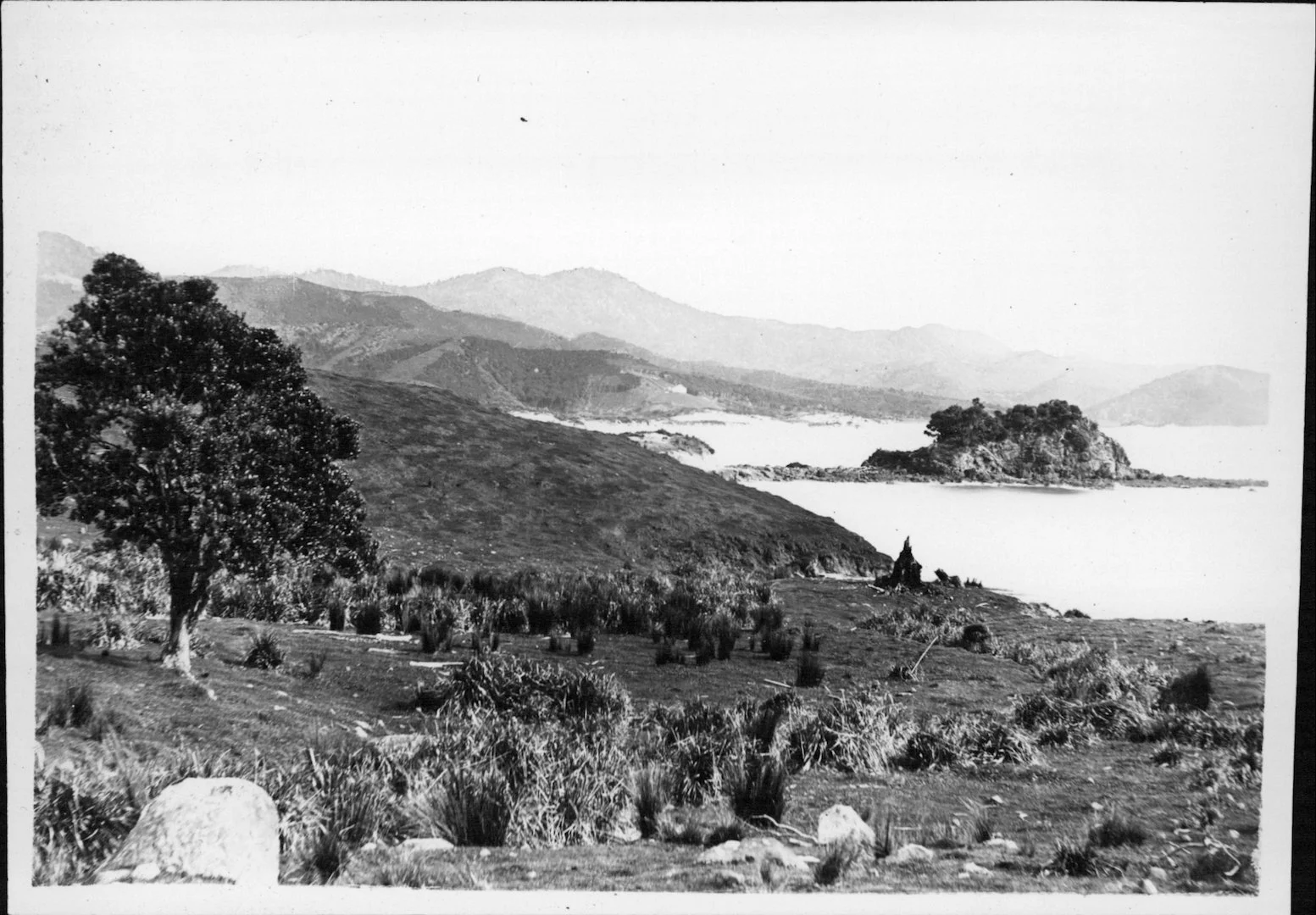   Oruawharo Bay by Henry Winkelmann ca.1892. (Source: Auckland Museum Photographic Records)  