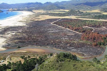   Looking down on the Kaitoke fireground - a major incident for us this season, but we forget how extensively fire was used by pioneer farmers on Great Barrier to clear forest and encourage grass growth for farming.  
