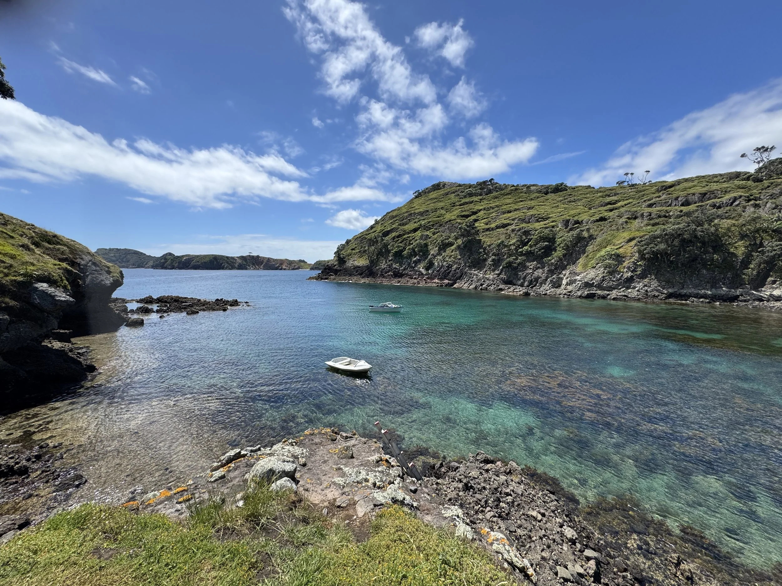   Māhuki  