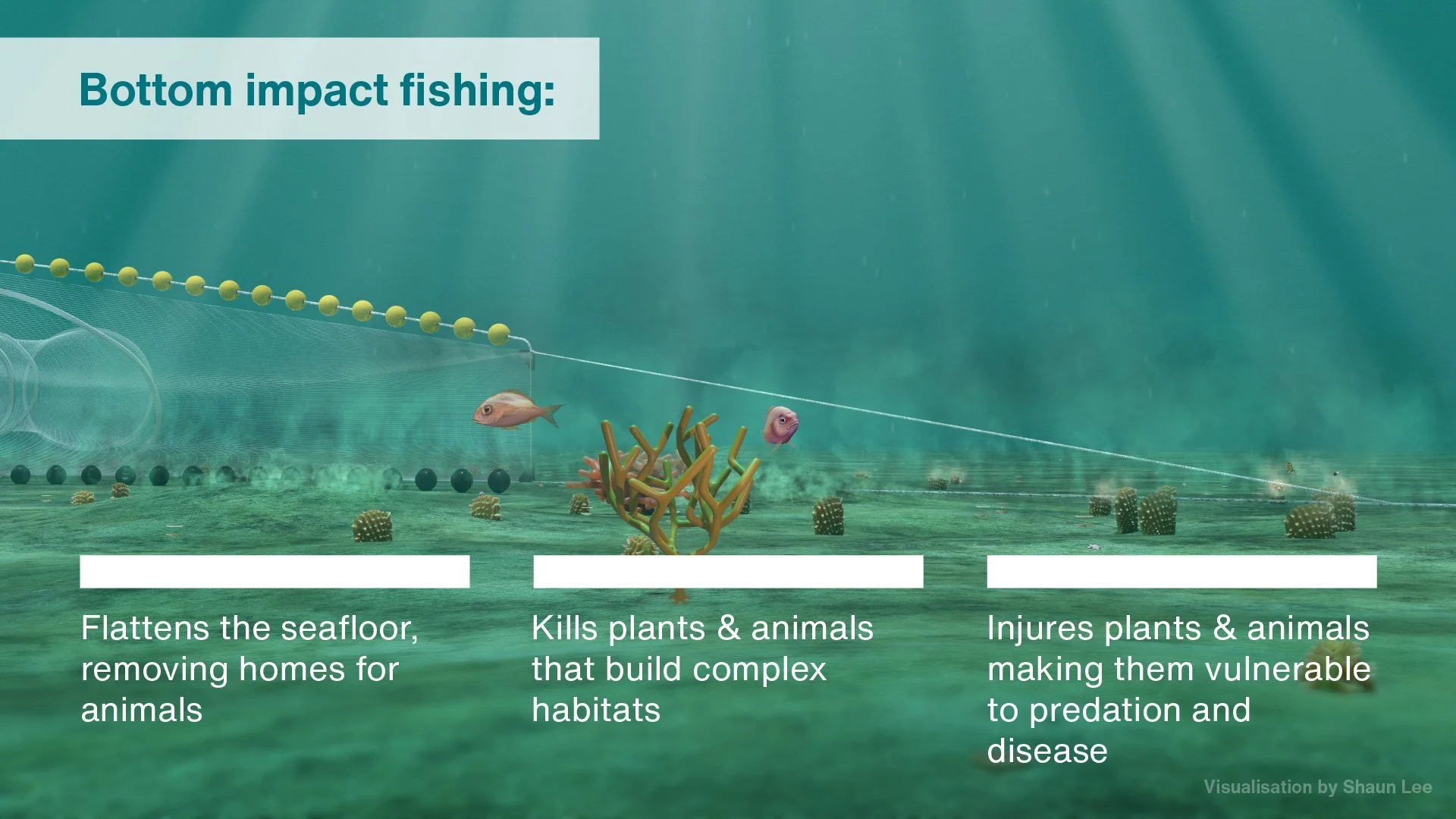   Impact of bottom fishing on the benthic surface (Credit: Shaun Lee)  