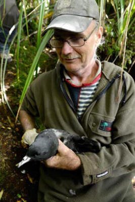   Wayne Dreardon with petrel  