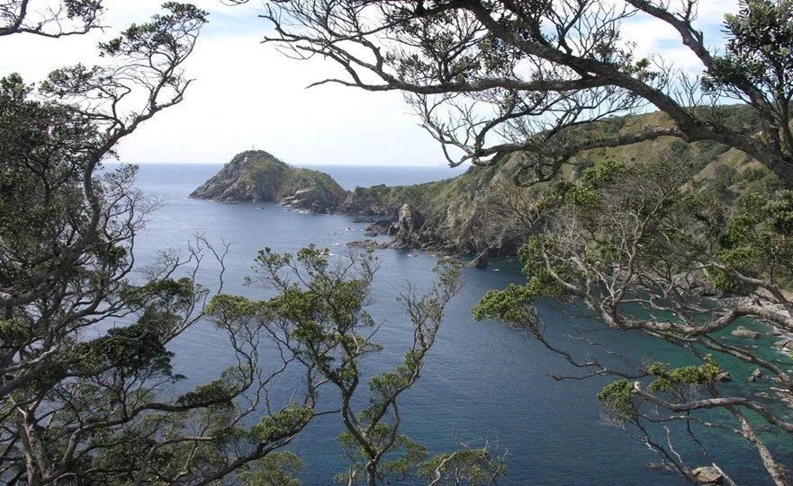   Blanket Bay Lighthouse (Credit: Rob Chappell)  