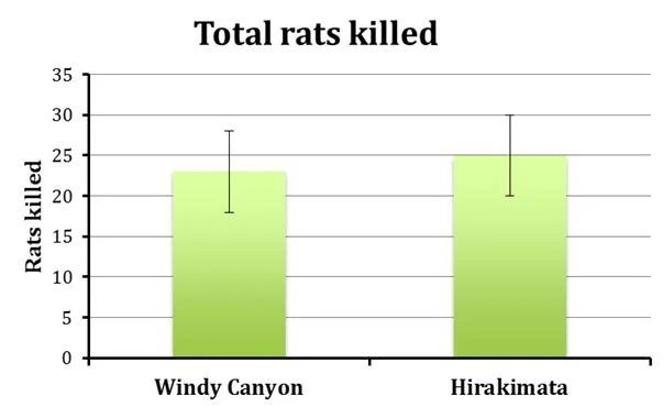 en37-hirakimata-rat-monitoring-01.jpg