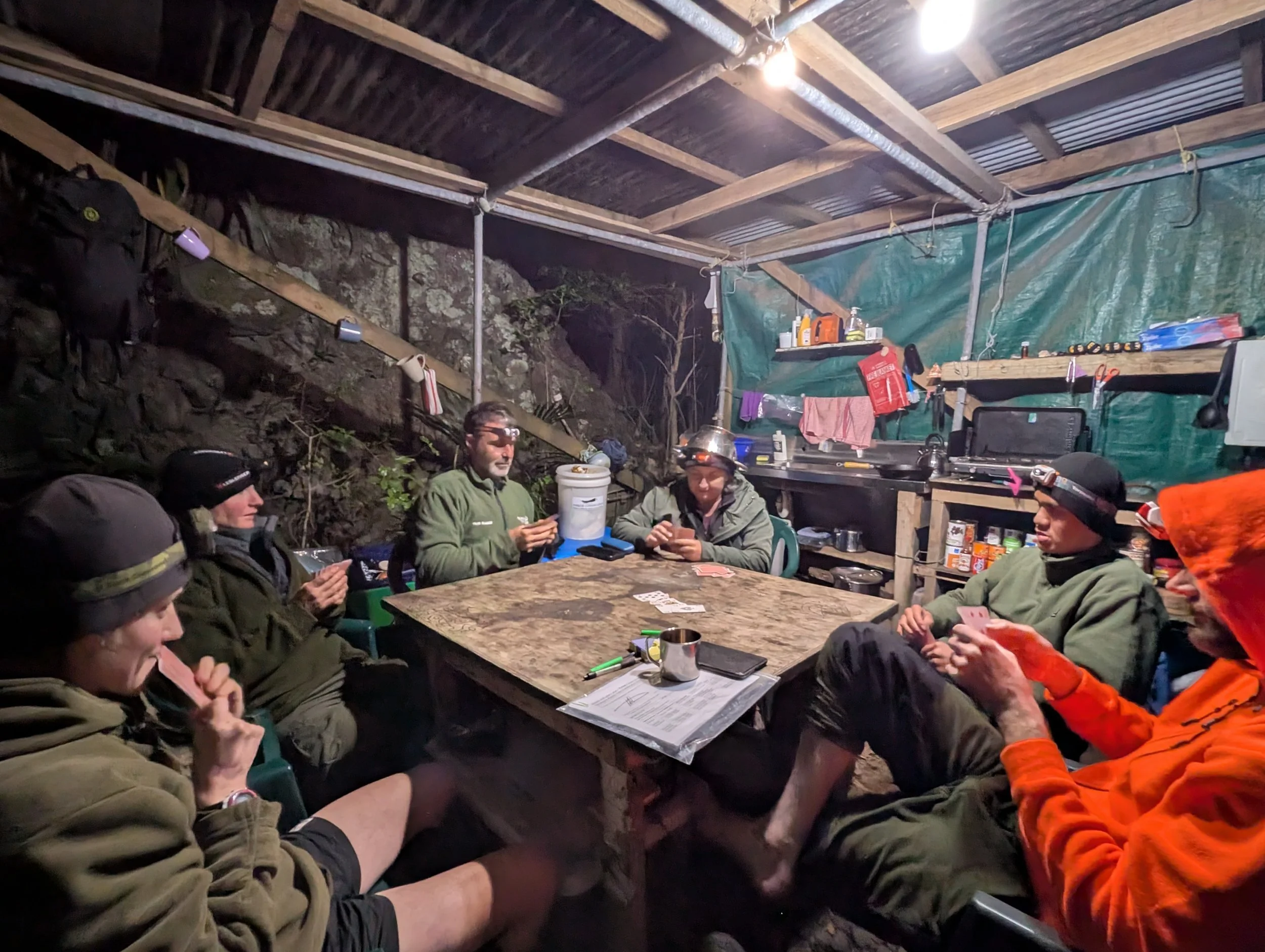 en53-tieke-translocation-03.jpg