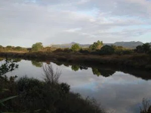  Kaitoke Stream and wetlands are a significant conservation asset. Photo: Fenella Christian 