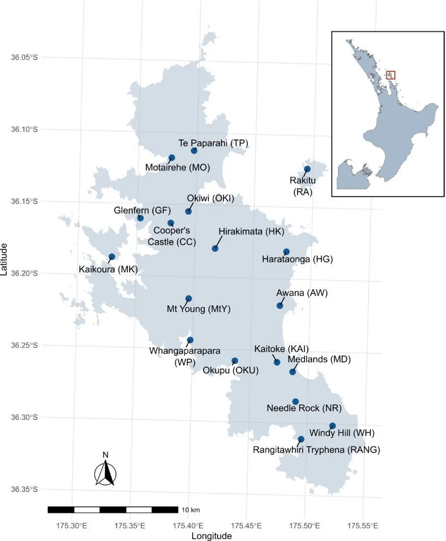  Map of Aotea Bird Count Transects (2021) (Map: George Perry)  