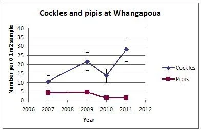 en25-shellfish-count-at-whangapoua-2011-01.jpeg