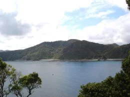 en12-mohunga-peninsular-restoration-group-01.jpg
