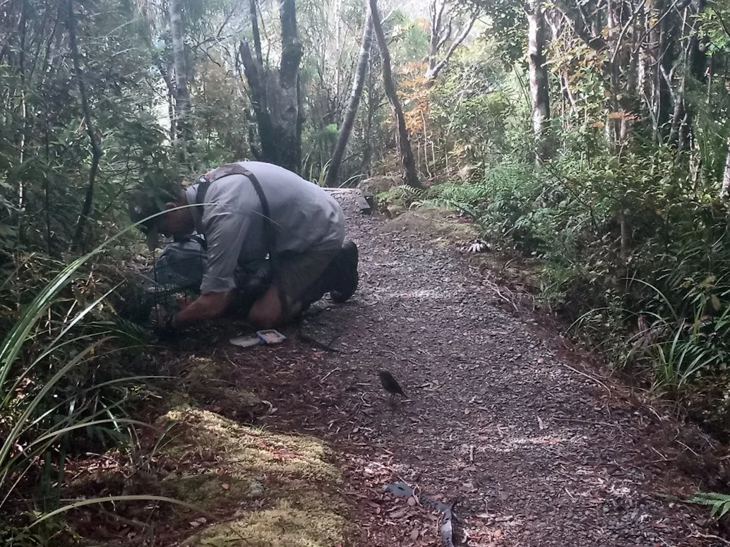en51-toutouwai-03.jpg