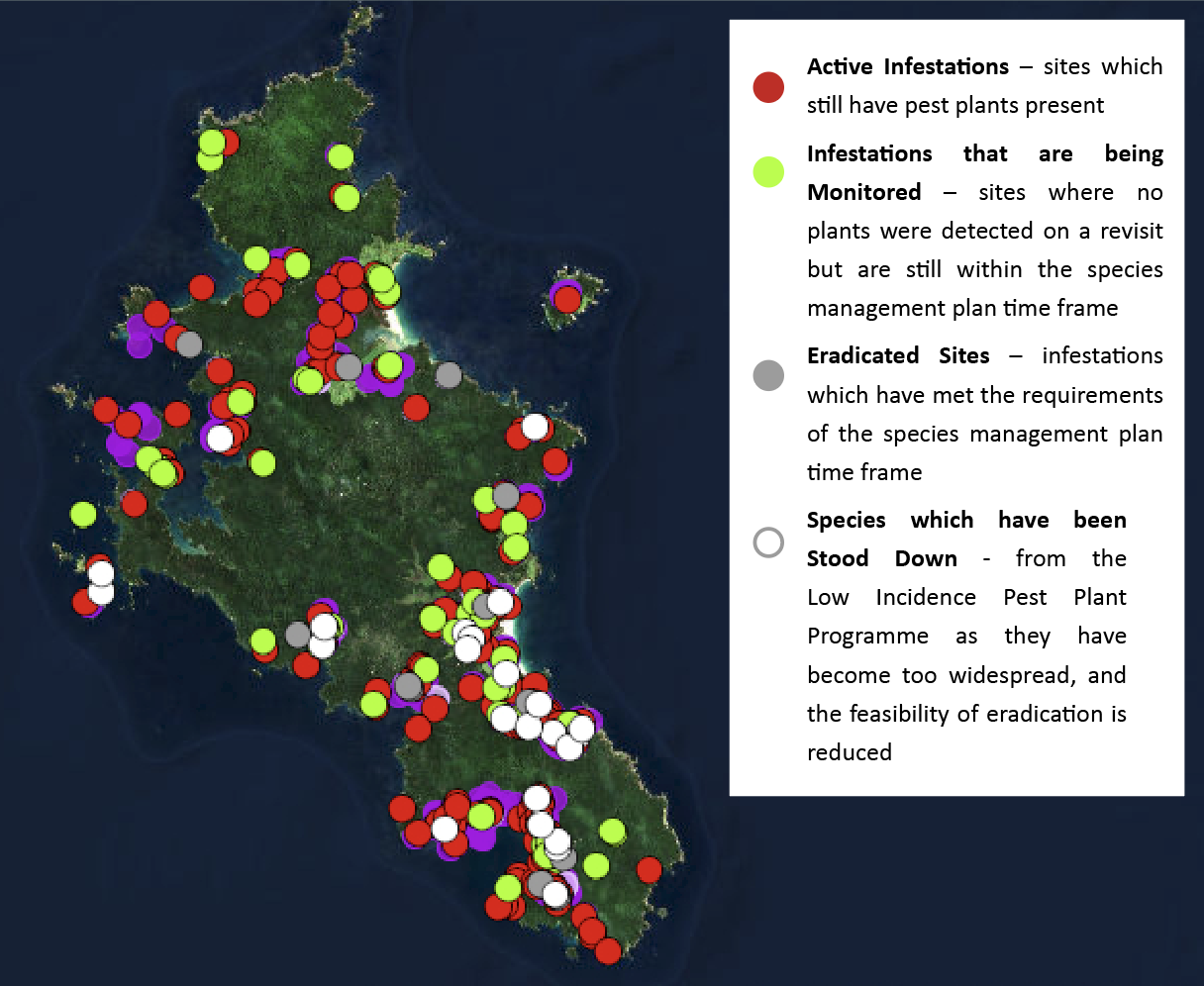   Curent Aotea LIPP distribution on Auckland Councils RURU GIS  