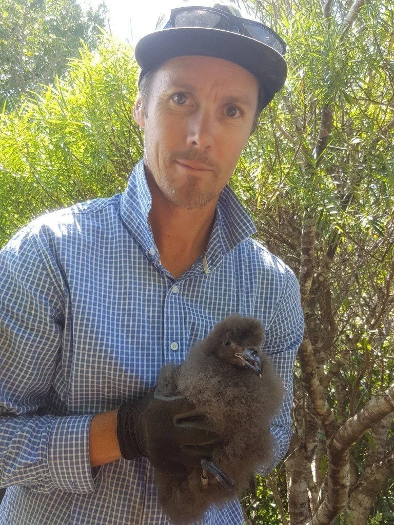   Adam Willetts with grey faced petrel chick (Credit: Cathy Mitchell)  